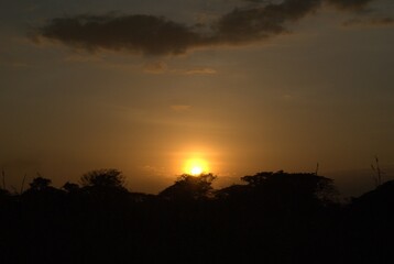 Unos atardeceres espectaculares adornados con el vuelo de las garzas y la cantidad de arboles.