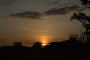 Unos atardeceres espectaculares adornados con el vuelo de las garzas y la cantidad de arboles.
