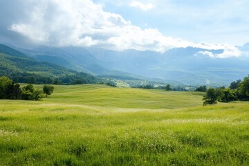 Vast green meadow under a blue sky with clouds and distant mountains near a serene valley landscape. Generative AI