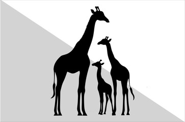 Fototapeta premium Elegant Mother and Baby Giraffe Silhouette Art.