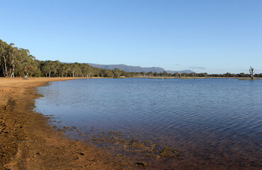 Shoreline of Lake Fyans with a forest of trees and water under a clear blue sky in Victoria, Australia
