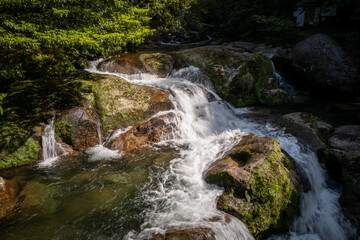 Sunlight streams through lush forest canopy, illuminating a waterfall cascading over moss-covered rocks.