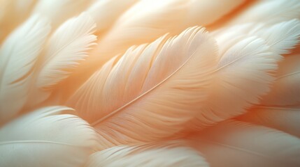 Fototapeta premium Soft, peach-toned feathers forming a delicate, textured background.