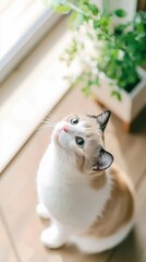 Adorable Ginger Cat Indoor Portrait  Cute Pet  Domestic Animal