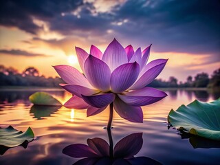 Moody Floral Silhouette Photography: Purple Lotus Flower in Tranquil Waters