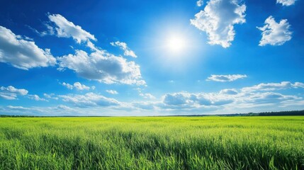 Obraz premium Bright sunny day over a green field with blue sky and fluffy clouds in mid afternoon. Generative AI