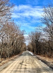 道, 冬, 北国, road, winter, northern, country,