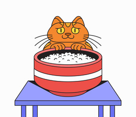 Curious cat and rice
