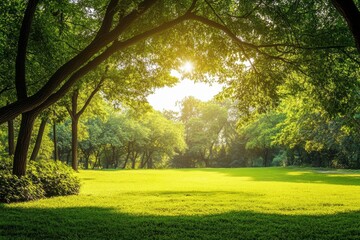 Obraz premium Sunlight filters through lush trees in a vibrant green park during a tranquil afternoon. Generative AI