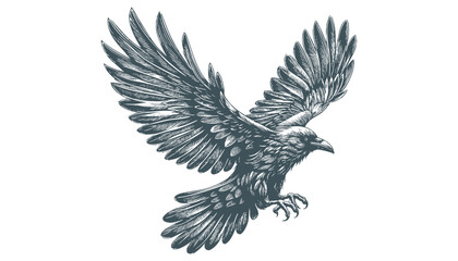 crow vector, raven vector