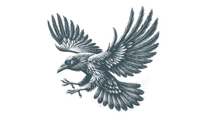 crow vector, raven vector