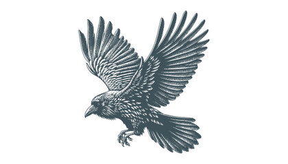 crow vector, raven vector