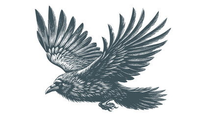 crow vector, raven vector