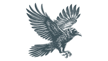 crow vector, raven vector