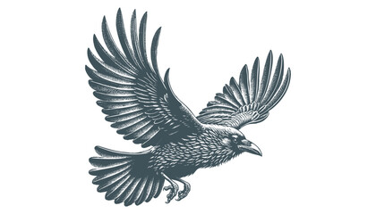 crow vector, raven vector