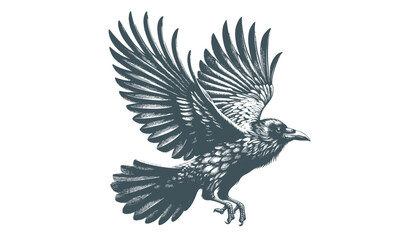 crow vector, raven vector