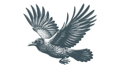 crow vector, raven vector