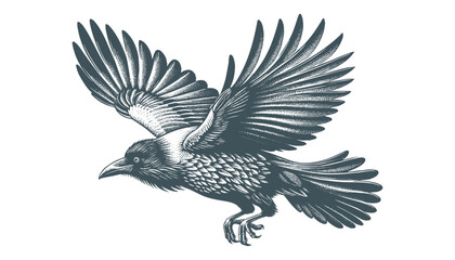 crow vector, raven vector
