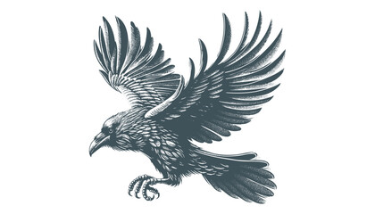 crow vector, raven vector