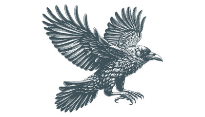 crow vector, raven vector