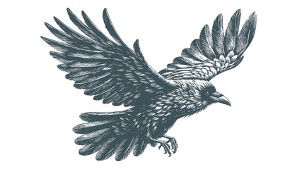 crow vector, raven vector