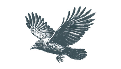 crow vector, raven vector