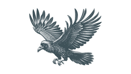 crow vector, raven vector