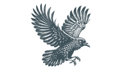 crow vector, raven vector