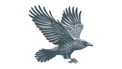 crow vector, raven vector