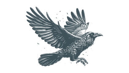 crow vector, raven vector