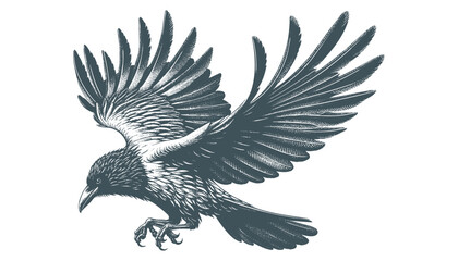 crow vector, raven vector