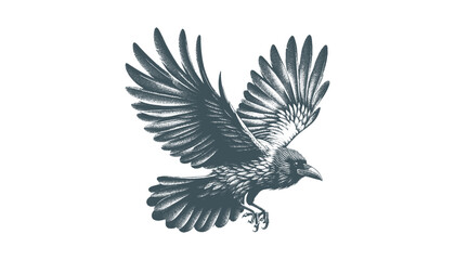 crow vector, raven vector