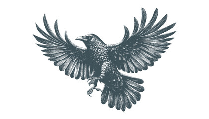 crow vector, raven vector