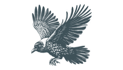 crow vector, raven vector