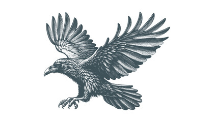crow vector, raven vector