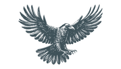 crow vector, raven vector