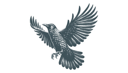crow vector, raven vector
