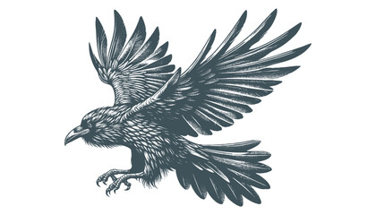 crow vector, raven vector