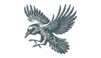 crow vector, raven vector