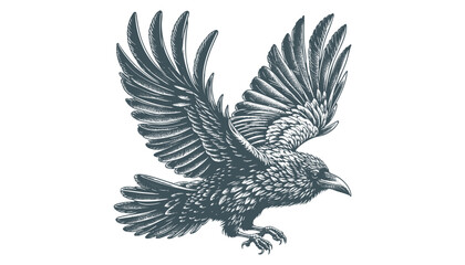 crow vector, raven vector