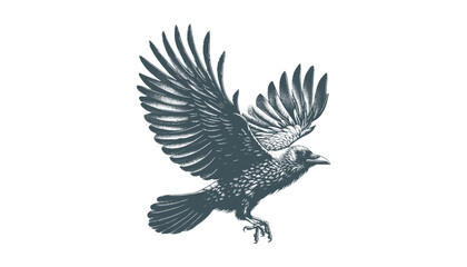 crow vector, raven vector