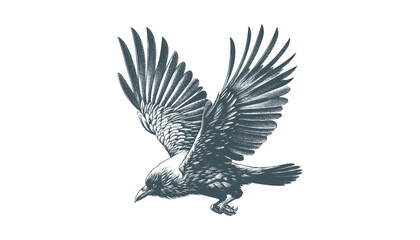 crow vector, raven vector