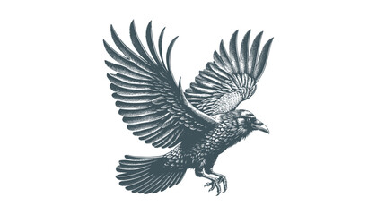 crow vector, raven vector