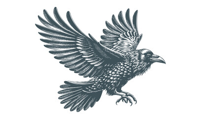 crow vector, raven vector