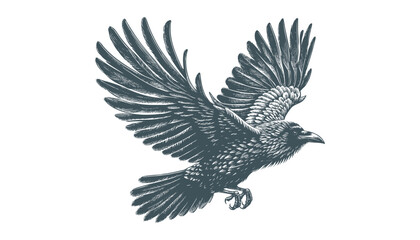 crow vector, raven vector