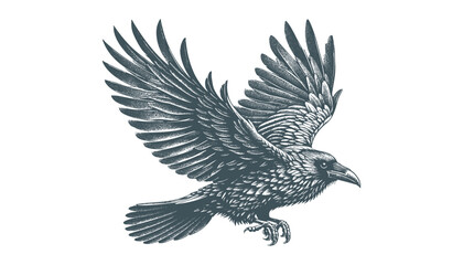 crow vector, raven vector