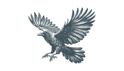 crow vector, raven vector