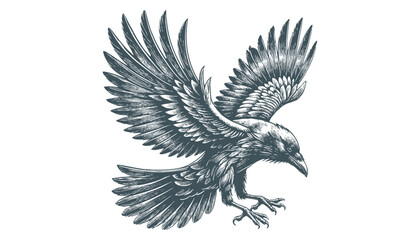 crow vector, raven vector