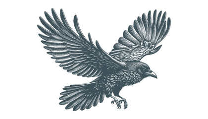 crow vector, raven vector