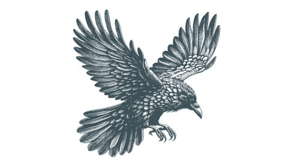 crow vector, raven vector